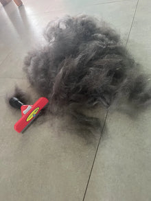 Cepillo Deslanador para Perros Grandes | Ayuda a Reducir Pelo Suelto y Muda | Chile