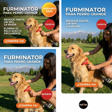 Cepillo Deslanador para Perros Grandes | Ayuda a Reducir Pelo Suelto y Muda | Chile