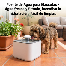 Fuente de Agua para Gatos y Perros 2 Litros con Filtro | Bebedero Silencioso para Mascotas | Chile