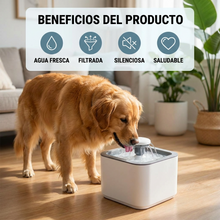 Fuente de Agua para Gatos y Perros 2 Litros con Filtro | Bebedero Silencioso para Mascotas | Chile