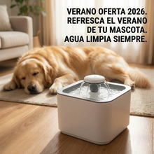Fuente de Agua para Gatos y Perros 2 Litros con Filtro | Bebedero Silencioso para Mascotas | Chile