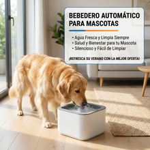 Fuente de Agua para Gatos y Perros 2 Litros con Filtro | Bebedero Silencioso para Mascotas | Chile