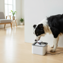 Fuente de Agua para Gatos y Perros 2 Litros con Filtro | Bebedero Silencioso para Mascotas | Chile