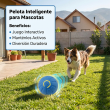 Pelota Inteligente para Mascotas con Luces LED | Juego Interactivo Recargable para Perros y Gatos | Chile