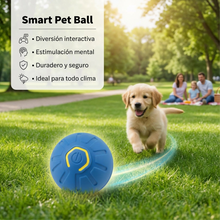 Pelota Inteligente para Mascotas con Luces LED | Juego Interactivo Recargable para Perros y Gatos | Chile