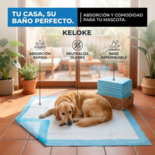 Sabanillas Desechables para Mascotas 60x90 cm Pack 40 | Absorción Práctica para Perros y Entrenamiento | Chile