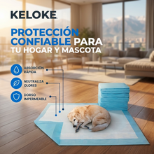 Sabanillas Desechables para Mascotas 60x90 cm Pack 40 | Absorción Práctica para Perros y Entrenamiento | Chile