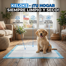 Sabanillas Desechables para Mascotas 60x90 cm Pack 40 | Absorción Práctica para Perros y Entrenamiento | Chile